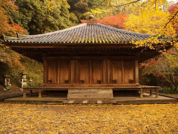 &lt;font color=&quot;#800000&quot;&gt;&lt;strong&gt;富貴寺&lt;/strong&gt;&lt;/font&gt;（豊後高田市）&lt;br&gt;国宝の富貴寺大堂は現存する九州最古の木造建築物（平安時代後期）で、平等院鳳凰堂、中尊寺金色堂と並ぶ日本三阿弥陀堂の一つといわれています。美しい新緑や紅葉、雪景色など四季折々の風景が印象的な寺院で、晩秋にはまるで黄色い絨毯を敷き詰めたかのようなイチョウの黄金色を見る事ができ、その美しさは圧巻です。&lt;br&gt;&lt;hr&gt;&lt;span style=&quot;font-size:14px;&quot;&gt;【DATA】&lt;br /&gt; 住所／豊後高田市田染蕗2395&lt;br&gt;電話／0978-26-3189&lt;br&gt;営業時間／8:30～16:30&lt;br&gt;料金／500円&lt;br&gt;休み／なし&lt;br&gt;駐車場／15台（大型バス可）&lt;br&gt;見頃／11月下旬～12月上旬&lt;br&gt;アクセス／宇佐ICから車で約35分&lt;br&gt;&lt;a href=&quot;https://www.city.bungotakada.oita.jp/site/showanomachi/1251.html&quot; target=&quot;_blank&quot;&gt;&lt;font color=&quot;#0033ff&quot;&gt;詳細はこちら&lt;/font&gt;&lt;/a&gt;&lt;/span&gt;&lt;br&gt;&lt;/span&gt;&lt;br&gt;