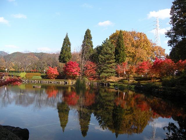 &lt;font color=&quot;#800000&quot;&gt;&lt;strong&gt;いいちこ日田蒸留所&lt;/strong&gt;&lt;/font&gt;（日田市）&lt;br&gt;全国で愛される麦焼酎「いいちこ」など、三和酒類がこだわりのお酒を醸す「いいちこ日田蒸留所」は、日田市自慢の紅葉スポットでもあります。秋になると敷地内にある広葉樹が赤やオレンジに染まり、深まる秋の美しさを見ることができます。本格焼酎の製造施設を見学できるほか、原酒の杜 iichiko SHOPでは、テイスティング、その他関連グッズの販売をしています。&lt;br&gt;&lt;hr&gt;&lt;span style=&quot;font-size:14px;&quot;&gt;【DATA】&lt;br /&gt; 住所／日田市西有田810-1&lt;br&gt;電話／0973-25-5600&lt;br&gt;営業時間／10:00～16:00&lt;br&gt;休み／火曜、盆、年末年始&lt;br&gt;駐車場／42台（大型バス可）&lt;br&gt;見頃／10月下旬～11月中旬&lt;br&gt;アクセス／日田ICから車で約10分&lt;br&gt;&lt;a href=&quot;https://www.sanwa-shurui.co.jp/factory/hita/&quot; target=&quot;_blank&quot;&gt;&lt;font color=&quot;#0033ff&quot;&gt;詳細はこちら&lt;/font&gt;&lt;/a&gt;&lt;/span&gt;&lt;br&gt;