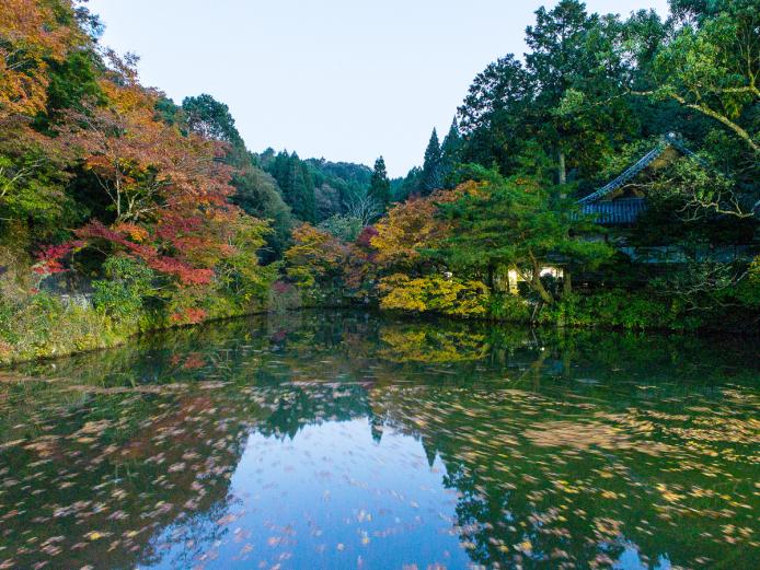 &lt;font color=&quot;#800000&quot;&gt;&lt;strong&gt;宝生寺&lt;/strong&gt;&lt;/font&gt;（豊後大野市）&lt;br&gt;800年の歴史を持つ、庭園がとても美しい由緒ある寺。市の有形文化財にも指定されており、「彩の宝生寺」、「宝生寺の秋」と称されるほど、秋の紅葉時期には鮮やかな彩を放ちます。紅葉の時期には、ライトアップも行われます。&lt;br&gt;&lt;hr&gt;&lt;span style=&quot;font-size:14px;&quot;&gt;【DATA】&lt;br /&gt; 住所／豊後大野市清川町宇田枝1639&lt;br&gt;電話／0974-27-4215（ぶんご大野里の旅公社）&lt;br&gt;見頃／11月上旬～11月下旬&lt;br&gt;&lt;a href=&quot;https://sato-no-tabi.jp/introduce/%E5%AE%9D%E7%94%9F%E5%AF%BA/&quot; target=&quot;_blank&quot;&gt;&lt;font color=&quot;#0033ff&quot;&gt;詳細はこちら&lt;/font&gt;&lt;/a&gt;&lt;/span&gt;