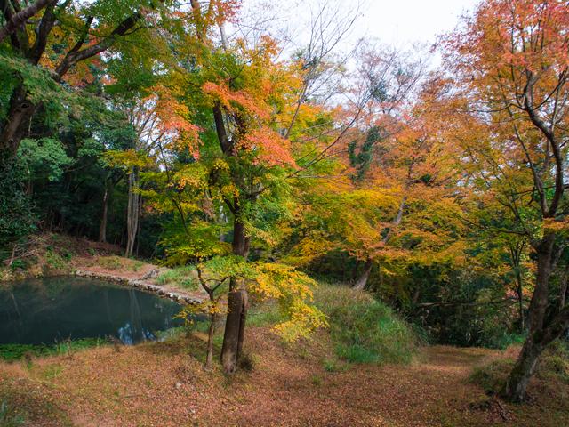 &lt;font color=&quot;#800000&quot;&gt;&lt;strong&gt;文殊仙寺&lt;/strong&gt;&lt;/font&gt;（国東市）&lt;br&gt;「三人寄れば文殊の知恵」のことわざの発祥の地として知られており、合格祈願や学業成就の参拝者が多数訪れます。境内からみえるあたりの山々の景色・紅葉は素晴らしく、文殊耶馬と称されています。&lt;br&gt;&lt;hr&gt;&lt;span style=&quot;font-size:14px;&quot;&gt;【DATA】&lt;br /&gt; 住所／国東市国東町大恩寺2432&lt;br&gt;電話／0978-74-0820&lt;br&gt;見頃／11月中旬～12月上旬&lt;br&gt;&lt;a href=&quot;http://www.monjyusenji.com/&quot; target=&quot;_blank&quot;&gt;&lt;font color=&quot;#0033ff&quot;&gt;詳細はこちら&lt;/font&gt;&lt;/a&gt;&lt;/span&gt;