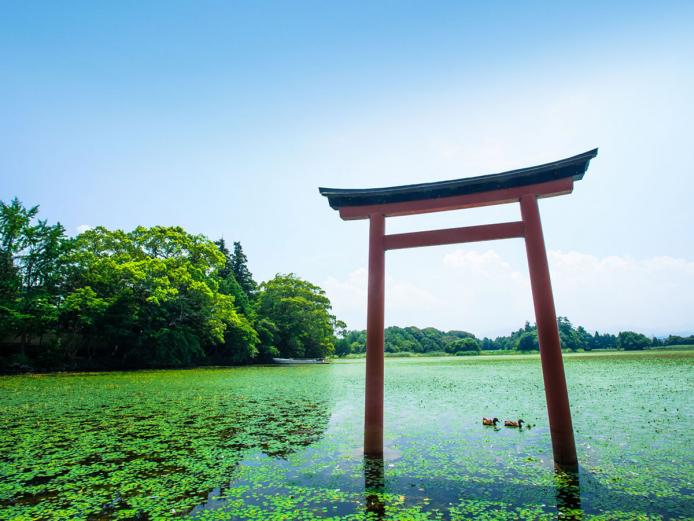 &lt;font color=&quot;#800080&quot;&gt;&lt;strong&gt;薦神社&lt;/strong&gt;&lt;/font&gt;（中津市）&lt;br&gt;全国八幡宮の総本山である宇佐神宮の元宮。社殿を下宮とし、境内にある三角池（みすみいけ）を内宮とする珍しい神社です。ご神体である三角池に反射する光は神々しく、それだけでパワーを頂けるような雰囲気です。まるで城のように立派な造りの神門は国指定重要文化財となっています。&lt;hr&gt;&lt;span style=&quot;font-size:14px;&quot;&gt;【DATA】&lt;br /&gt;住所／中津市大字大貞209&lt;br&gt;問合せ／0979-32-2440（薦神社）&lt;br&gt;&lt;a href=&quot;http://komojinja.jp/publics/index/10/&quot; target=&quot;_blank&quot;&gt;&lt;font color=&quot;#0033ff&quot;&gt;HPはこちら&lt;/font&gt;&lt;/a&gt;&lt;/span&gt;&lt;br&gt;&lt;br&gt;