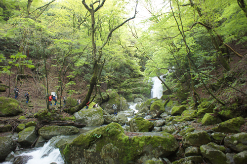 祖母 傾 大崩ユネスコエコパークの見どころ 神原 こうばる 登山口 日本一の おんせん県 大分県の観光情報公式サイト